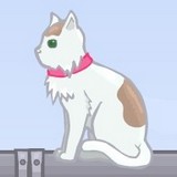 Игра Кошки и Cобаки по Парам