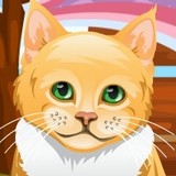 Игра Рыжий Кот