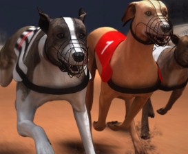 Игра Собачьи Бега