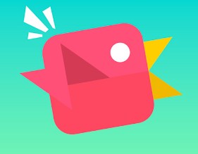 Игра Беги Птичка, Беги