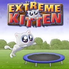 Игра Экстремальный Котенок