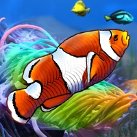 Игра Морские Рыбы 2