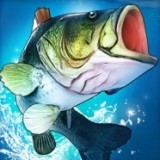 Симулятор Рыбалки