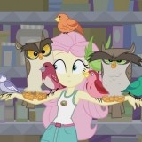 Девочки из Эквестрии: Флаттершай