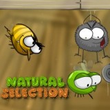 Игра Естественный Отбор Игра Естественный Отбор