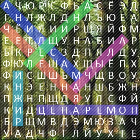 Игра Филворд 15.12.18