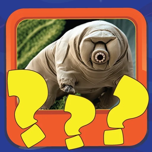 Игра Что На Фото? Игра Что На Фото?