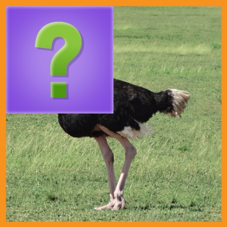 Игра Головоломка с Животными