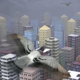 Лети Как Птица 4