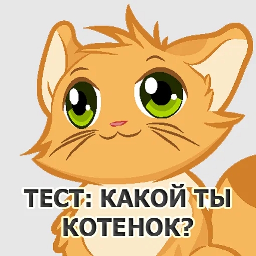 Игра Тест: Какой Ты Котенок?