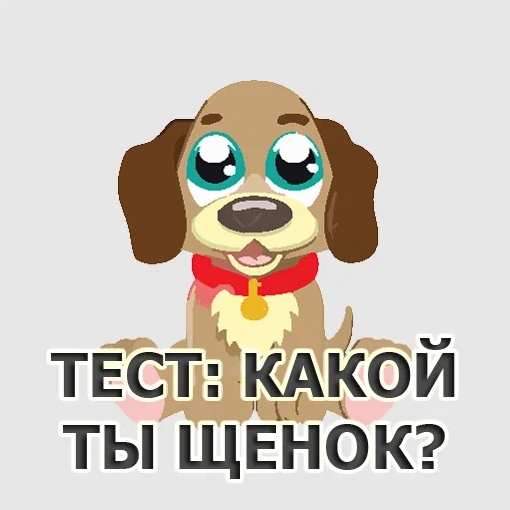 Игра Тест: Какой Ты Щенок? Игра Тест: Какой Ты Щенок?