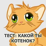 Игра Тест: Что твоя прическа расскажет о тебе?