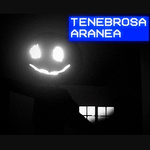 Игра Тенеброза Аранеа Игра Тенеброза Аранеа