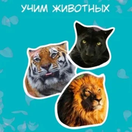Игра Учим Животных: Для Малышей