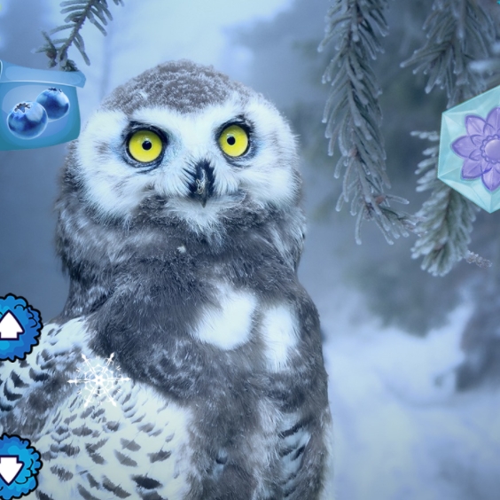 Игра Зимнее Приключение в Стране Чудес