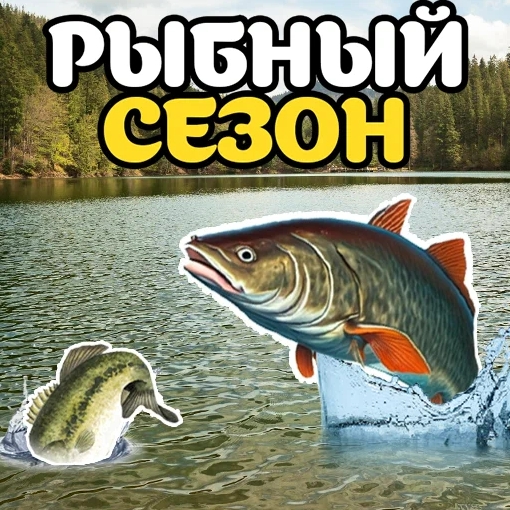 Игра Сезон Рыбалки