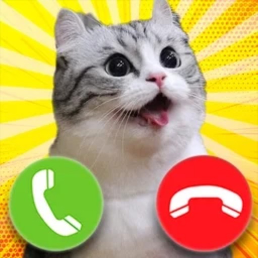 Игра Комару Кот