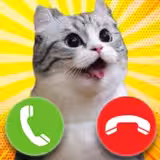 Игра Комару Кот Комару Кот